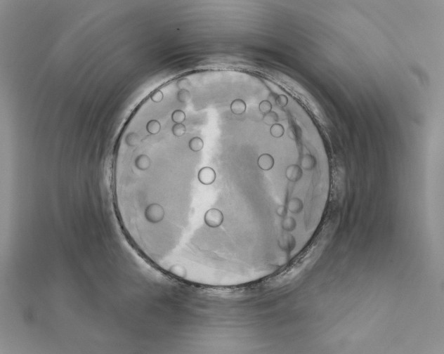 X0000111220855200908131059