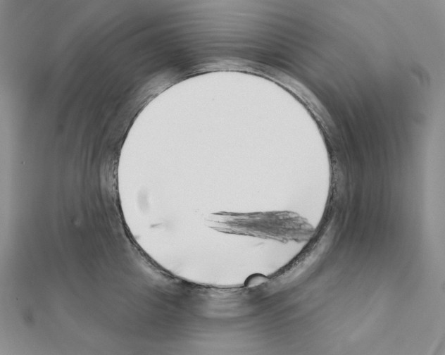 X0000111220857200908131059