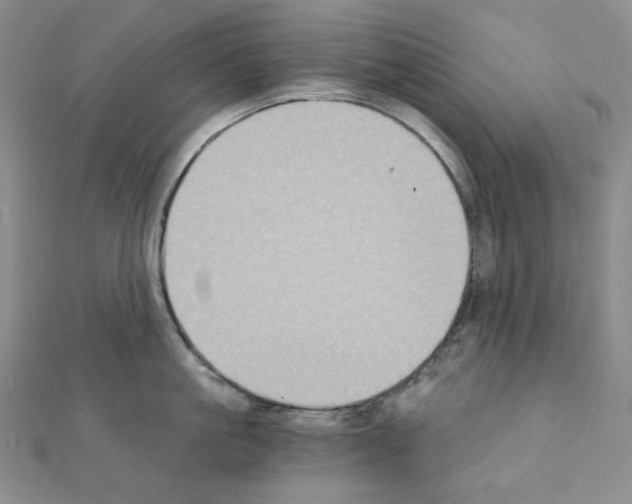 X0000111220861200908131100