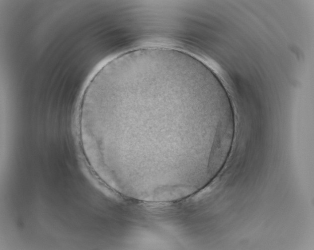 X0000111220864200908131100