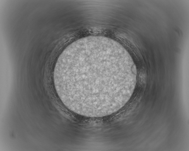 X0000111220865200908131059