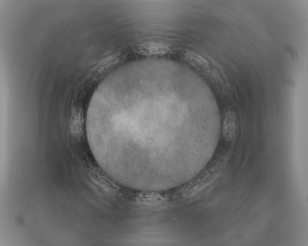 X0000111220866200908131059
