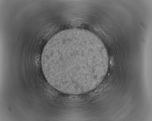X0000111220867200908131059