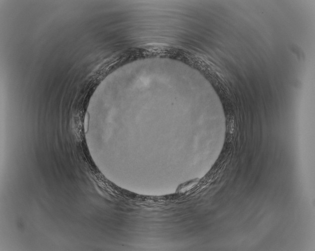 X0000111220868200908131059
