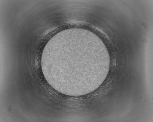 X0000111220869200908131059