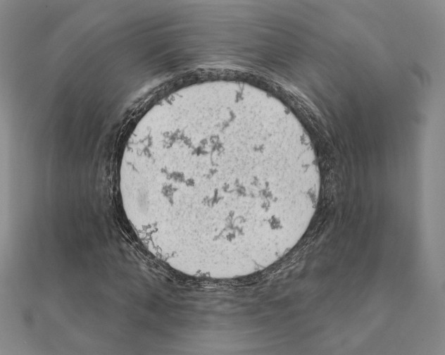 X0000111220870200908131059