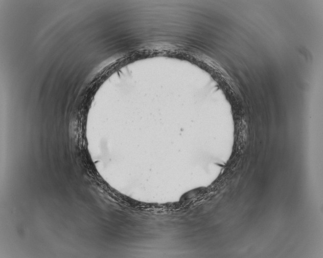 X0000111220872200908131059