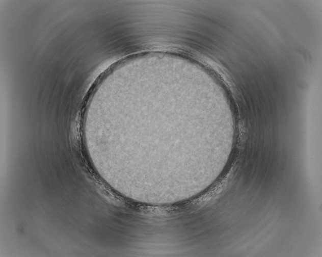 X0000111220875200908131059