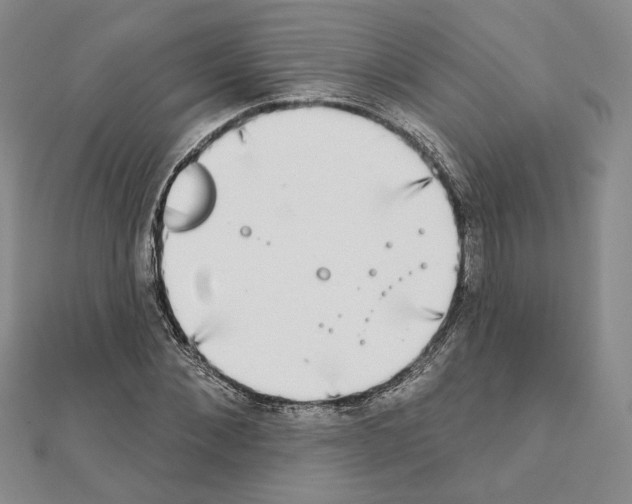 X0000111220876200908131059