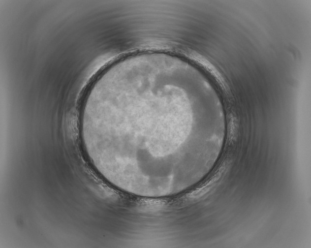 X0000111220878200908131059
