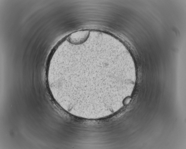 X0000111220880200908131059
