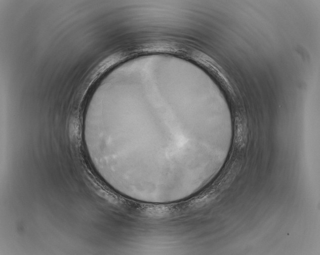 X0000111220882200908131059
