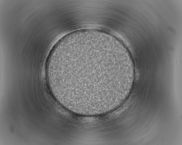 X0000111220883200908131059