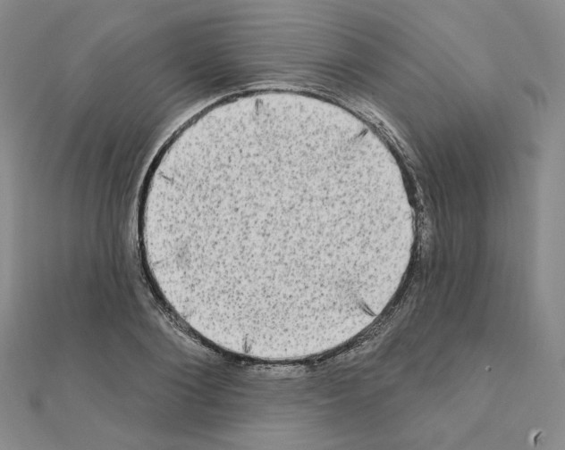 X0000111220884200908131059