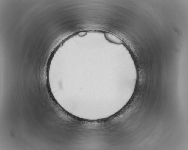 X0000111220885200908131059