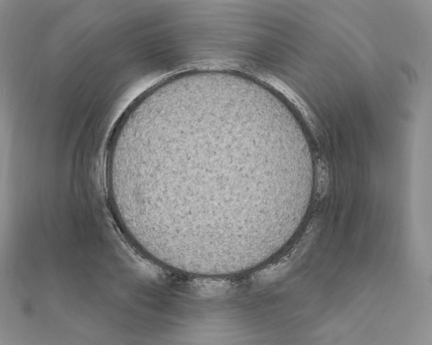 X0000111220886200908131059