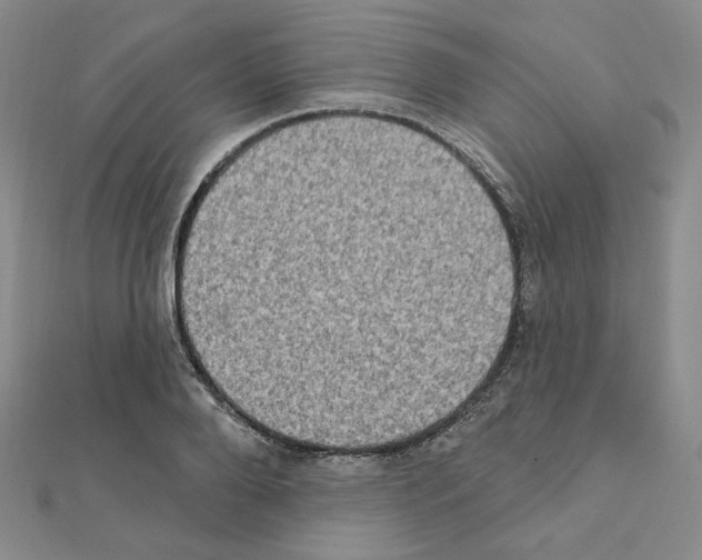 X0000111220888200908131059