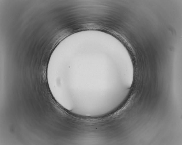 X0000111220889200908131059