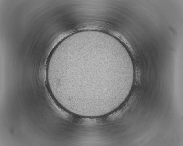 X0000111220890200908131059