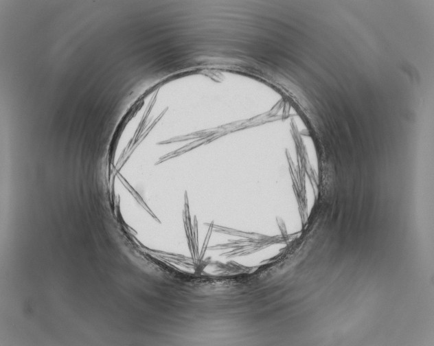 X0000111220891200908131059