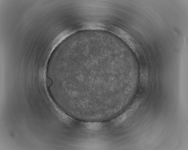 X0000111220893200908131058