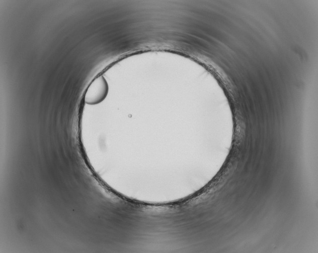 X0000111220894200908131058