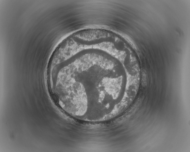 X0000111220895200908131058