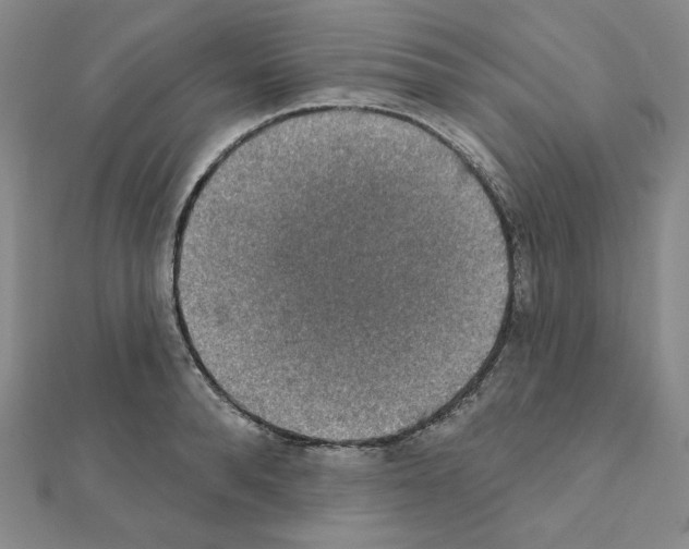 X0000111220896200908131058
