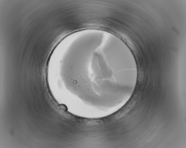 X0000111220899200908131058