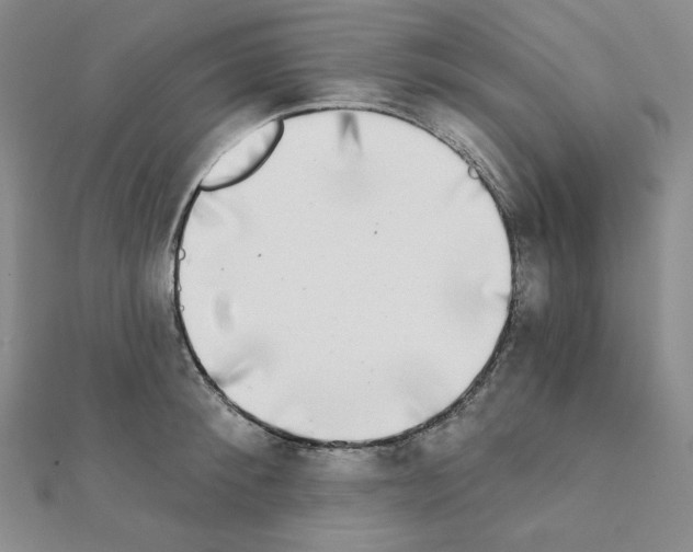 X0000111220900200908131058