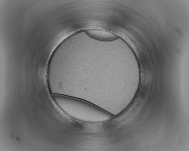 X0000111220901200908131058