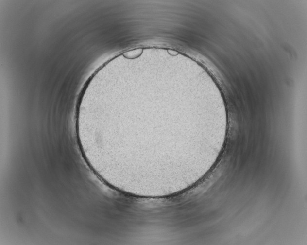 X0000111220902200908131058