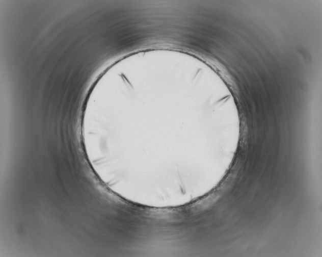 X0000111220904200908131058