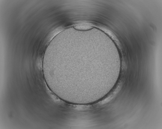 X0000111220905200908131058