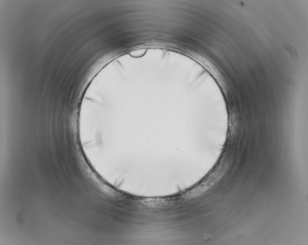X0000111220906200908131058