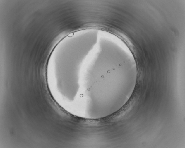 X0000111220907200908131058