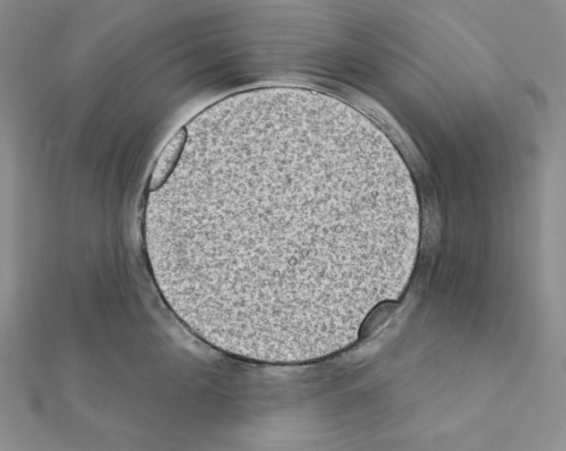 X0000111220908200908131058