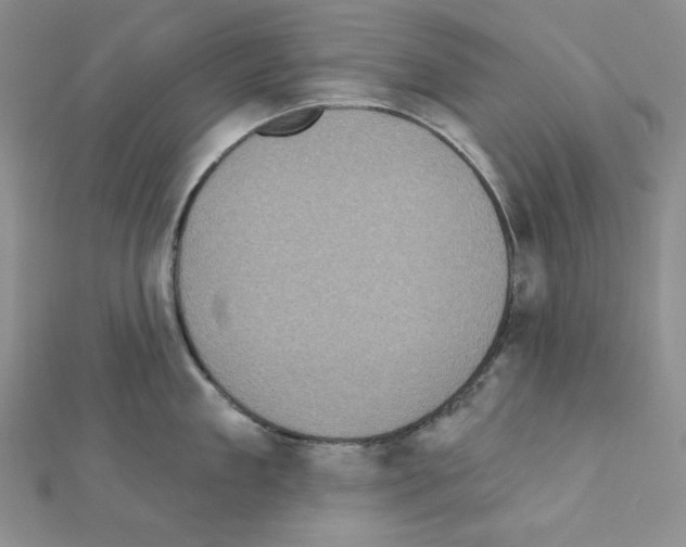 X0000111220909200908131058