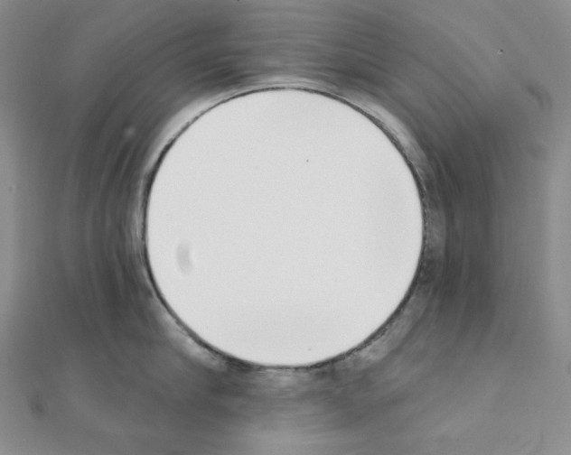 X0000111220910200908131058