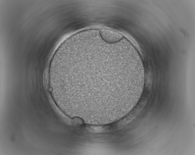 X0000111220911200908131058