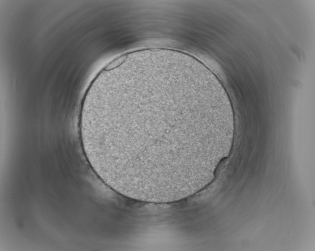 X0000111220912200908131058