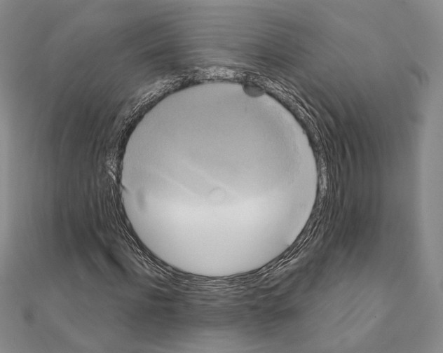 X0000111220916200908131057