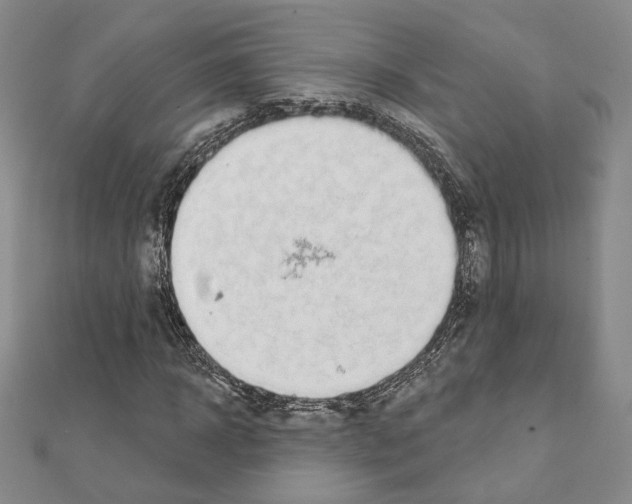 X0000111220918200908131057