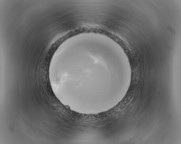 X0000111220919200908131057