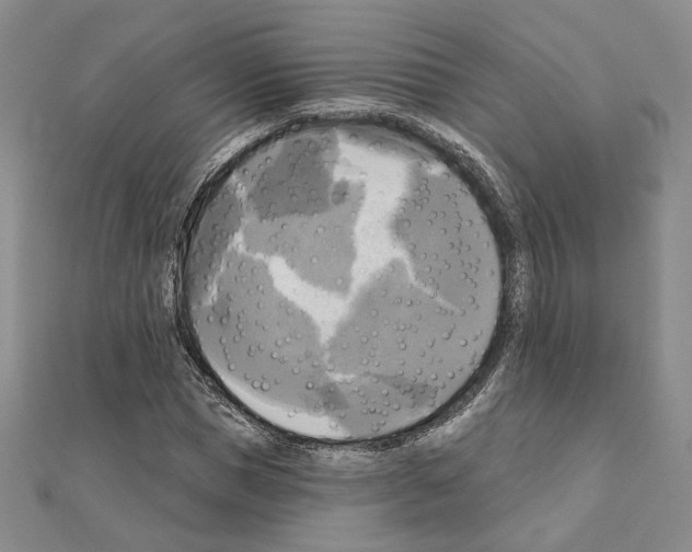 X0000111220921200908131057