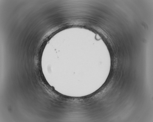 X0000111220922200908131058
