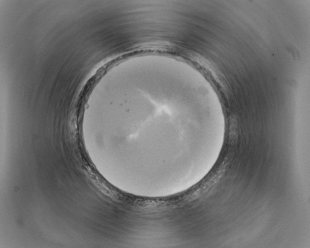 X0000111220923200908131058