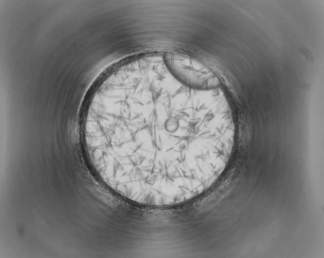 X0000111220924200908131058