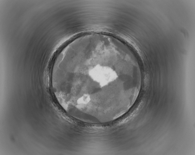 X0000111220925200908131058