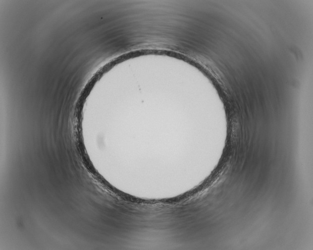 X0000111220926200908131058